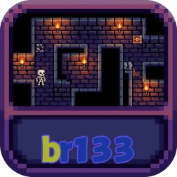 br133